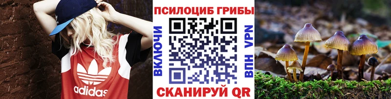 Псилоцибиновые грибы мухоморы  Жуковский 